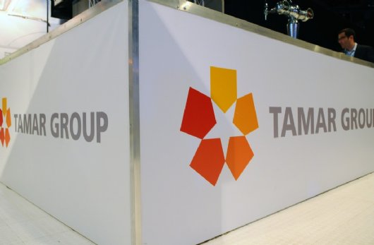 Tamar Group Company Video